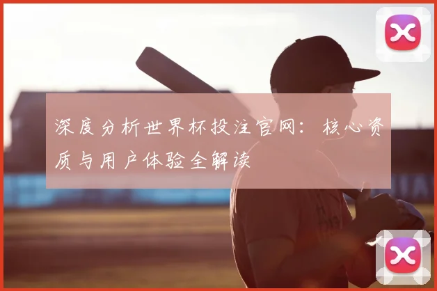 深度分析世界杯投注官网：核心资质与用户体验全解读