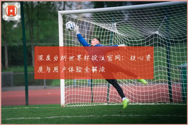 深度分析世界杯投注官网：核心资质与用户体验全解读