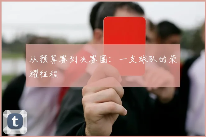 从预算赛到决赛圈：一支球队的荣耀征程