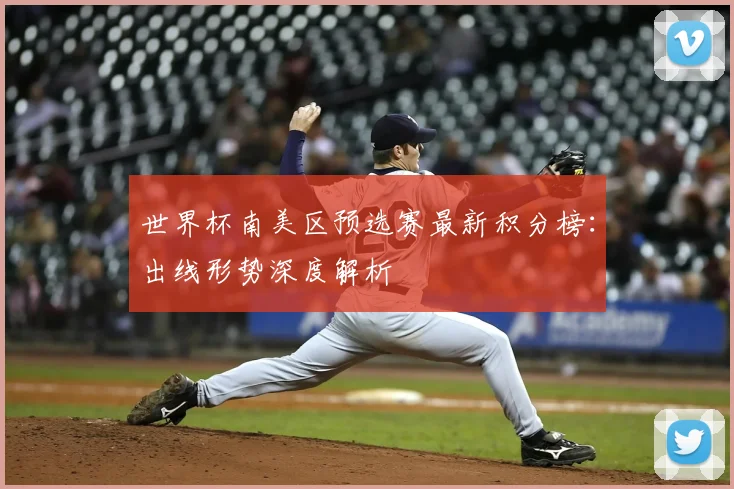 世界杯南美区预选赛最新积分榜：出线形势深度解析