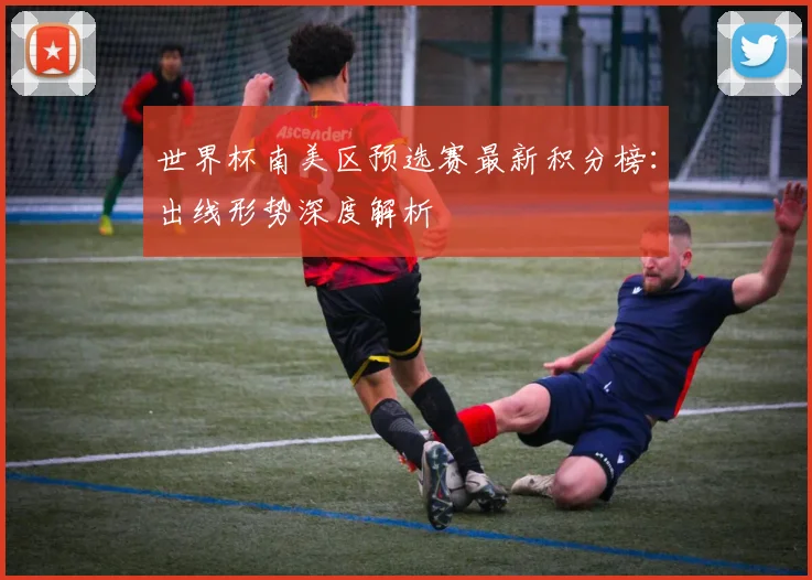 世界杯南美区预选赛最新积分榜：出线形势深度解析