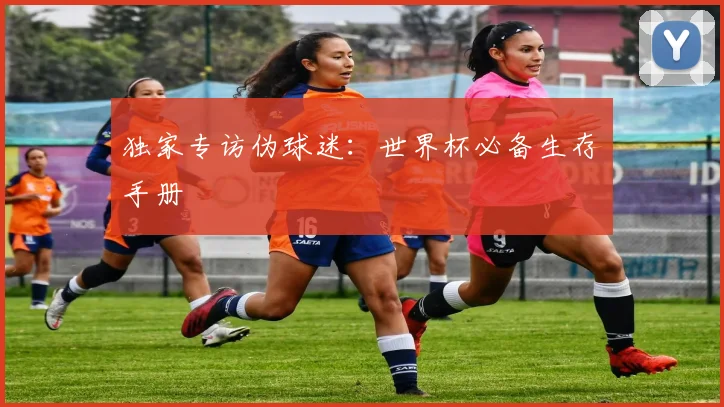 独家专访伪球迷：世界杯必备生存手册