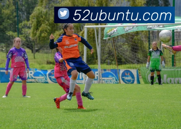 多媒体互动体验